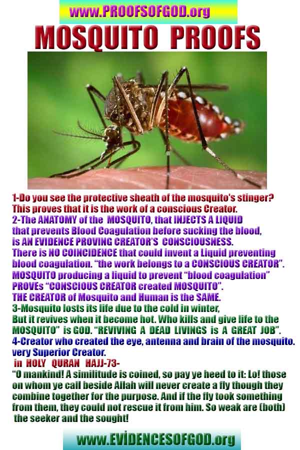 proofs of god, evidences of god, signs of god, god-proofs, proofs-god