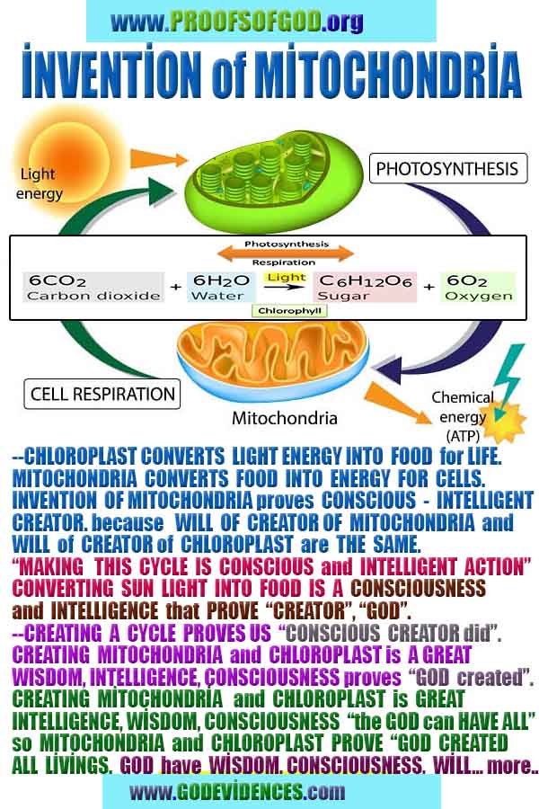 proofs of god, evidences of god, signs of god, god-proofs, proofs-god