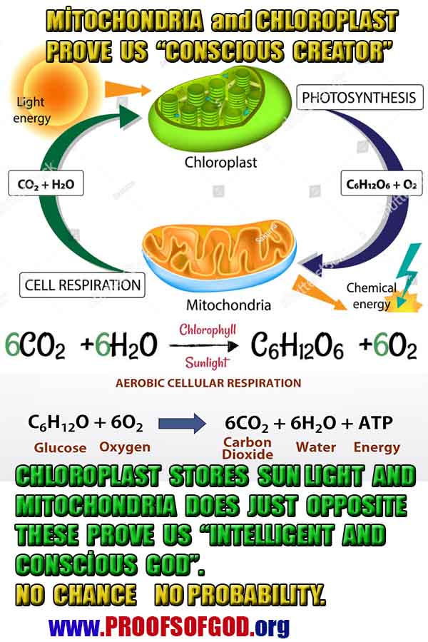 proofs of god, evidences of god, signs of god, god-proofs, proofs-god