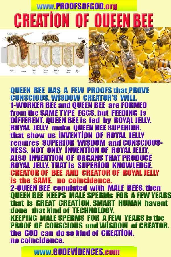 proofs of god, evidences of god, signs of god, god-proofs, proofs-god