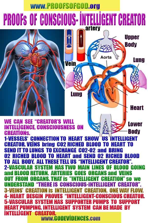 proofs of god, evidences of god, signs of god, god-proofs, proofs-god