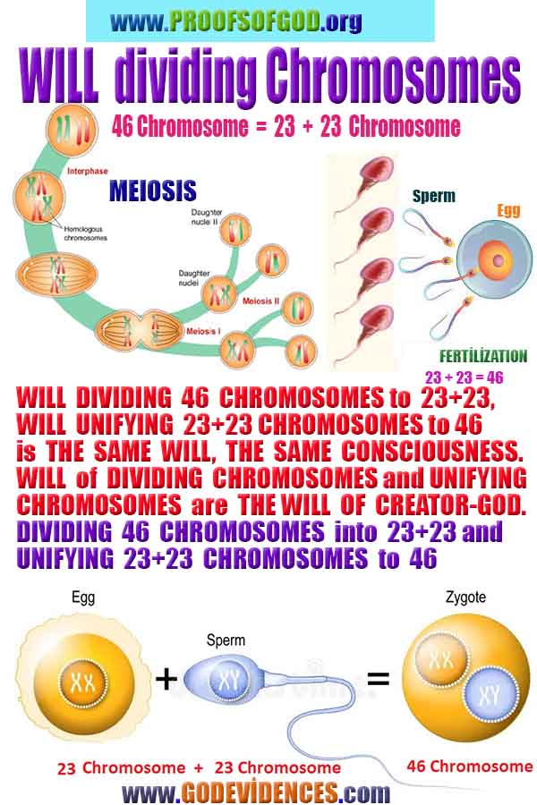 proofs of god, evidences of god, signs of god, god-proofs, proofs-god