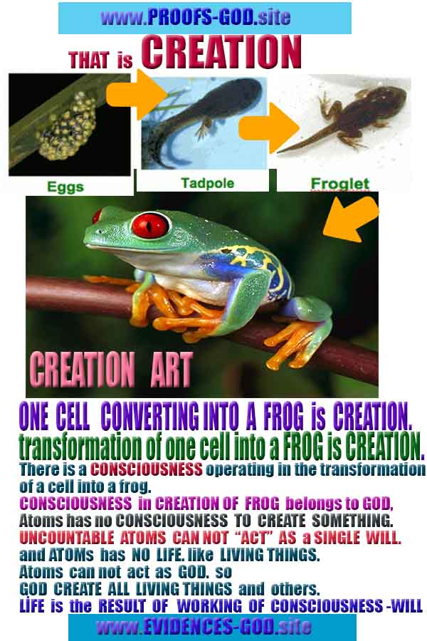 proofs of god, evidences of god, signs of god, god-proofs, proofs-god