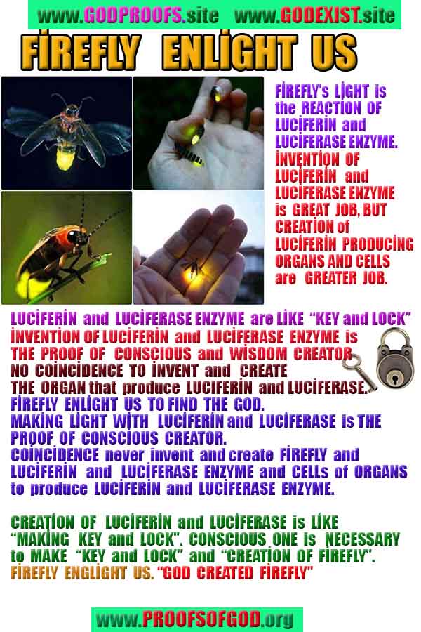 proofs of god, evidences of god, signs of god, god-proofs, proofs-god