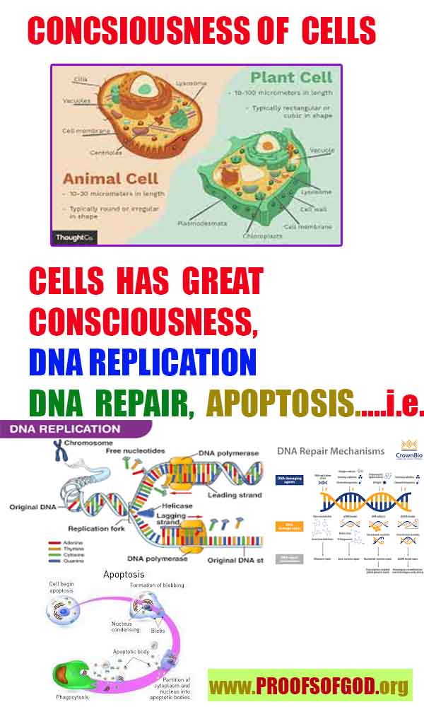 proofs of god, evidences of god, signs of god, god-proofs, proofs-god