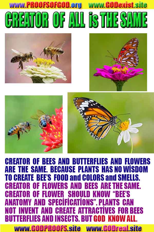 proofs of god, evidences of god, signs of god, god-proofs, proofs-god