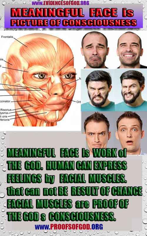 proofs of god, evidences of god, signs of god, god-proofs, proofs-god