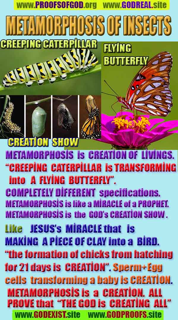 proofs of god, evidences of god, signs of god, god-proofs, proofs-god