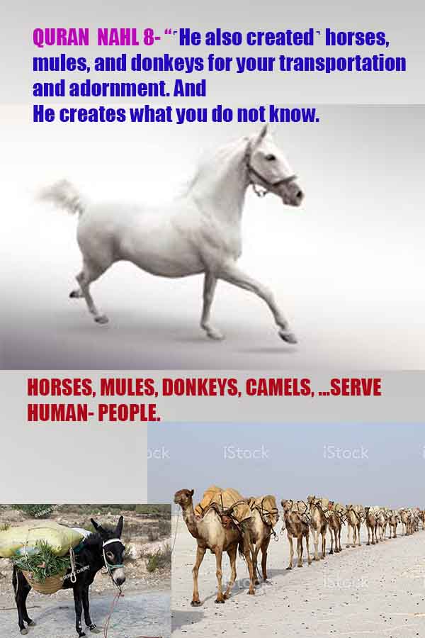 proofs of god, evidences of god, signs of god, god-proofs, proofs-god