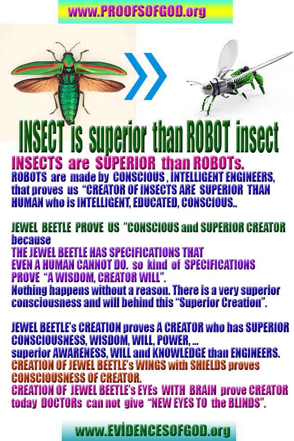 proofs of god, evidences of god, signs of god, god-proofs, proofs-god