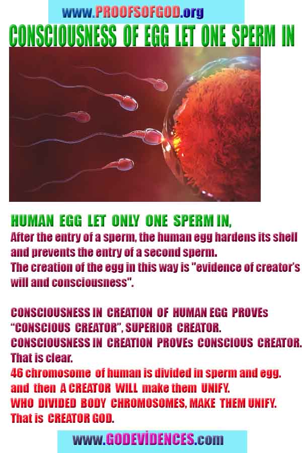 proofs of god, evidences of god, signs of god, god-proofs, proofs-god