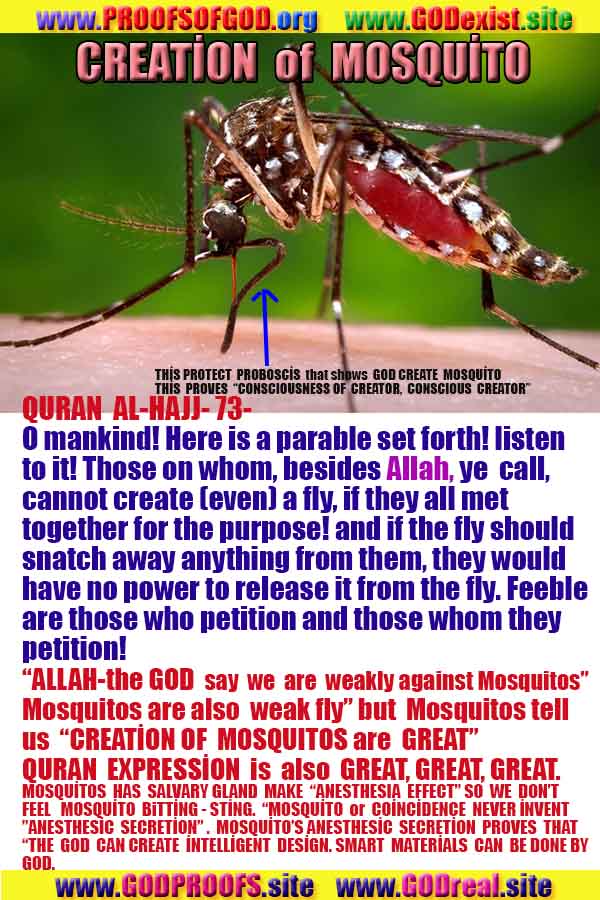 proofs of god, evidences of god, signs of god, god-proofs, proofs-god