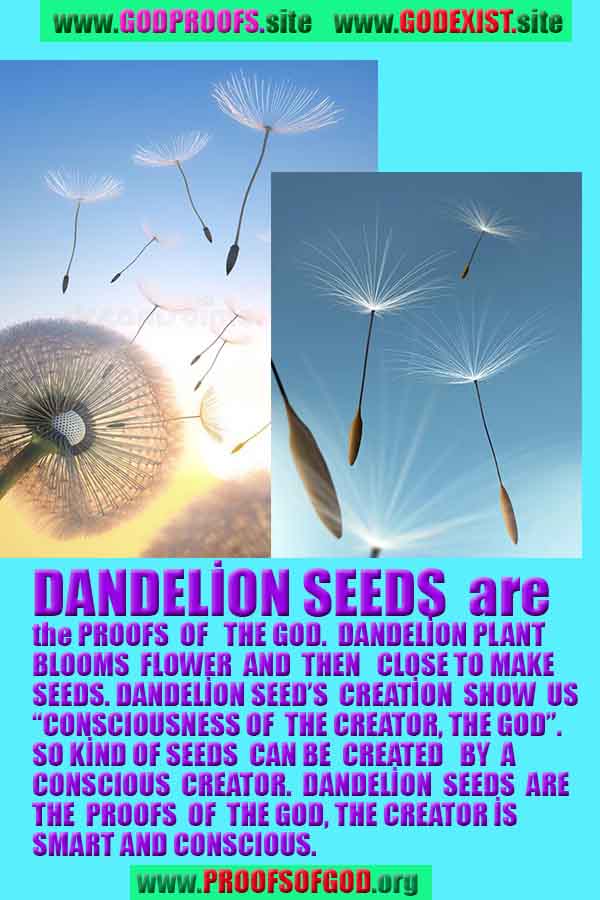 proofs of god, evidences of god, signs of god, god-proofs, proofs-god