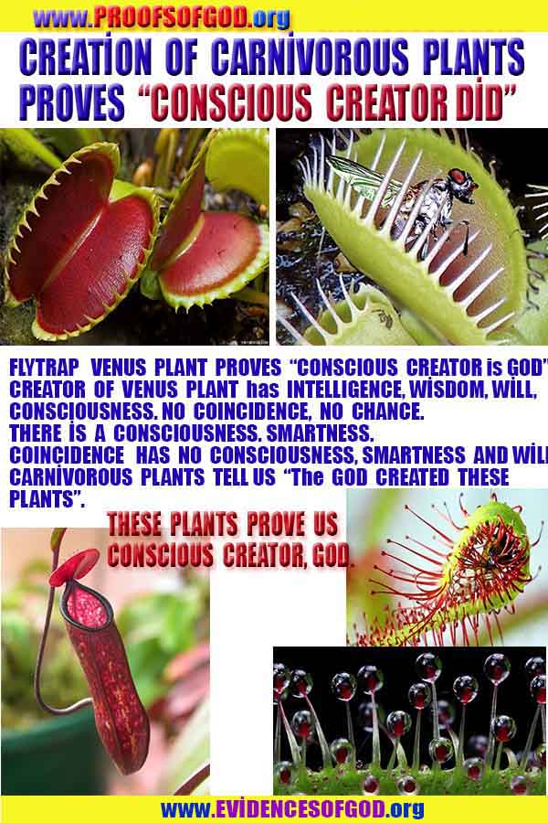 proofs of god, evidences of god, signs of god, god-proofs, proofs-god