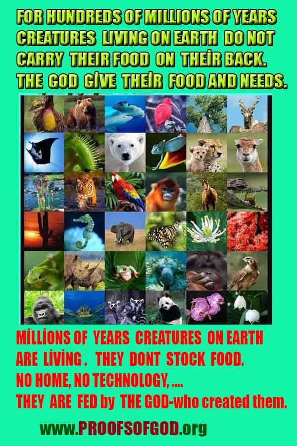 proofs of god, evidences of god, signs of god, god-proofs, proofs-god