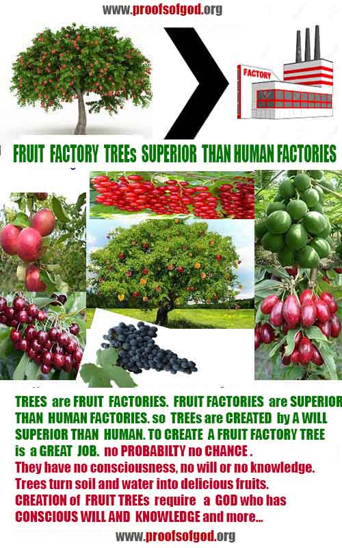 proofs of god, evidences of god, signs of god, god-proofs, proofs-god