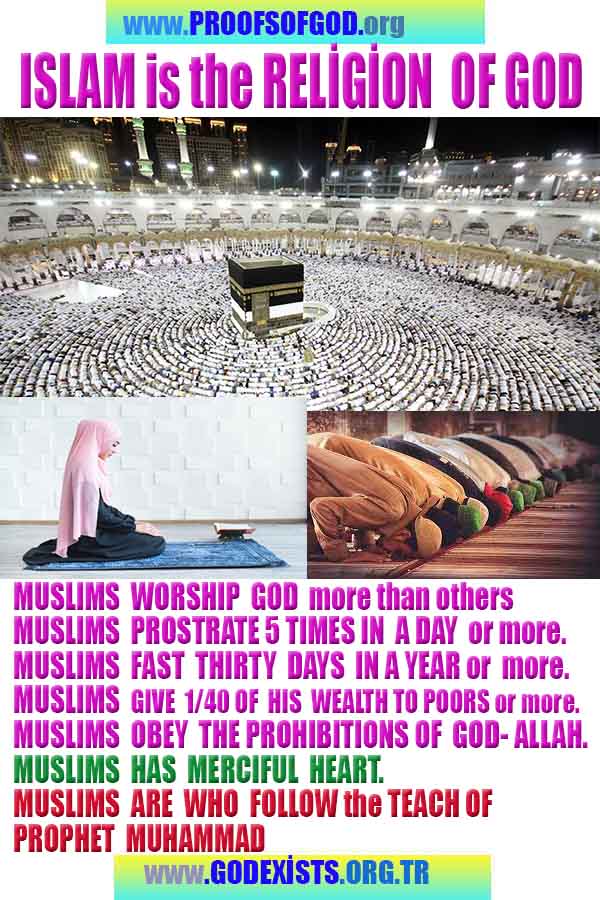 proofs of god, evidences of god, signs of god, god-proofs, proofs-god